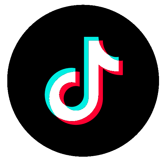 TikTok Icon